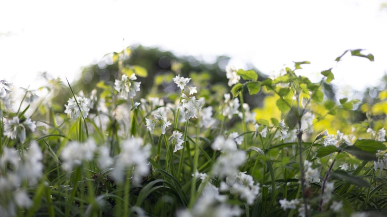 premium_photo-1746111961029-5a7b181ac7b3