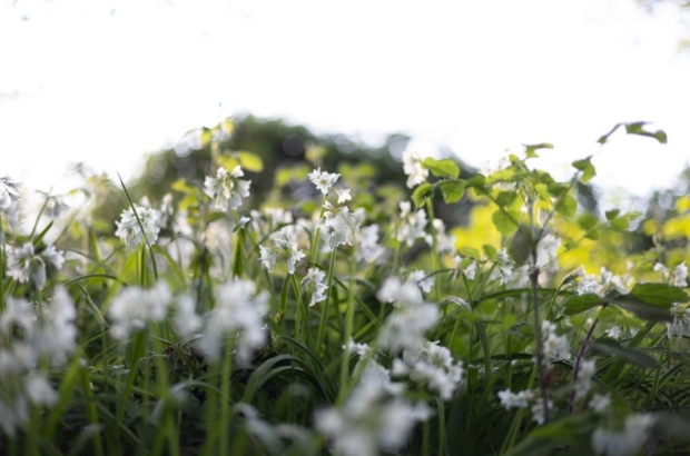 premium_photo-1746111961029-5a7b181ac7b3