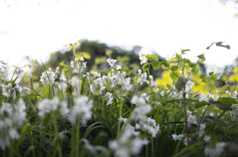 premium_photo-1746111961029-5a7b181ac7b3