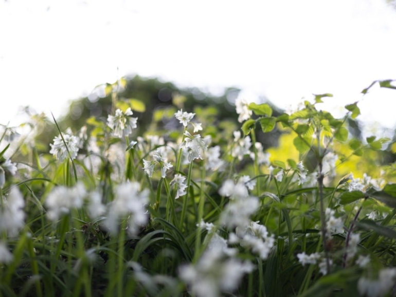 premium_photo-1746111961029-5a7b181ac7b3