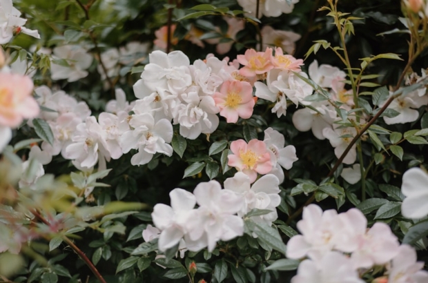 premium_photo-1748350571700-326a900467dc