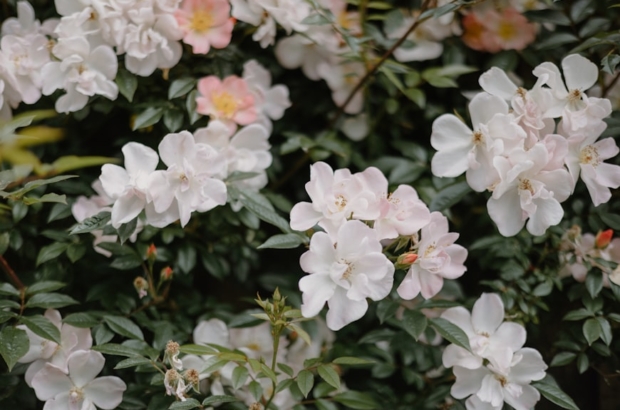 premium_photo-1748350571767-038f3c4675cc