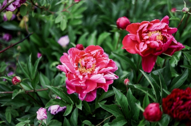 premium_photo-1748434640517-12f48572acea