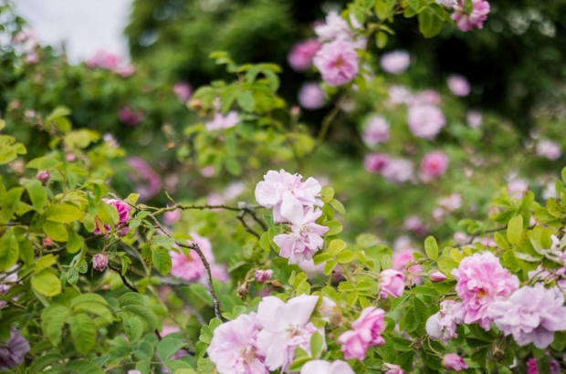 premium_photo-1748437648251-17edf4ba98dd