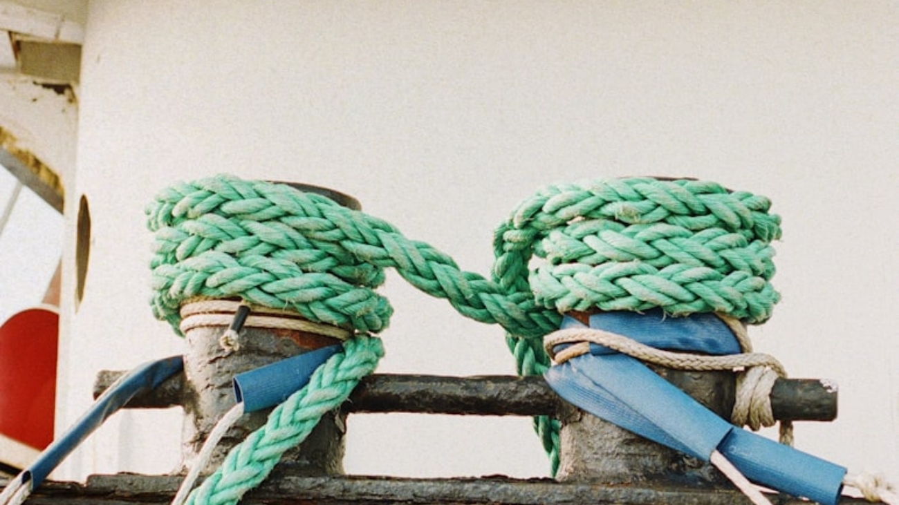 premium_photo-1751906599185-f9ebcbad9abc