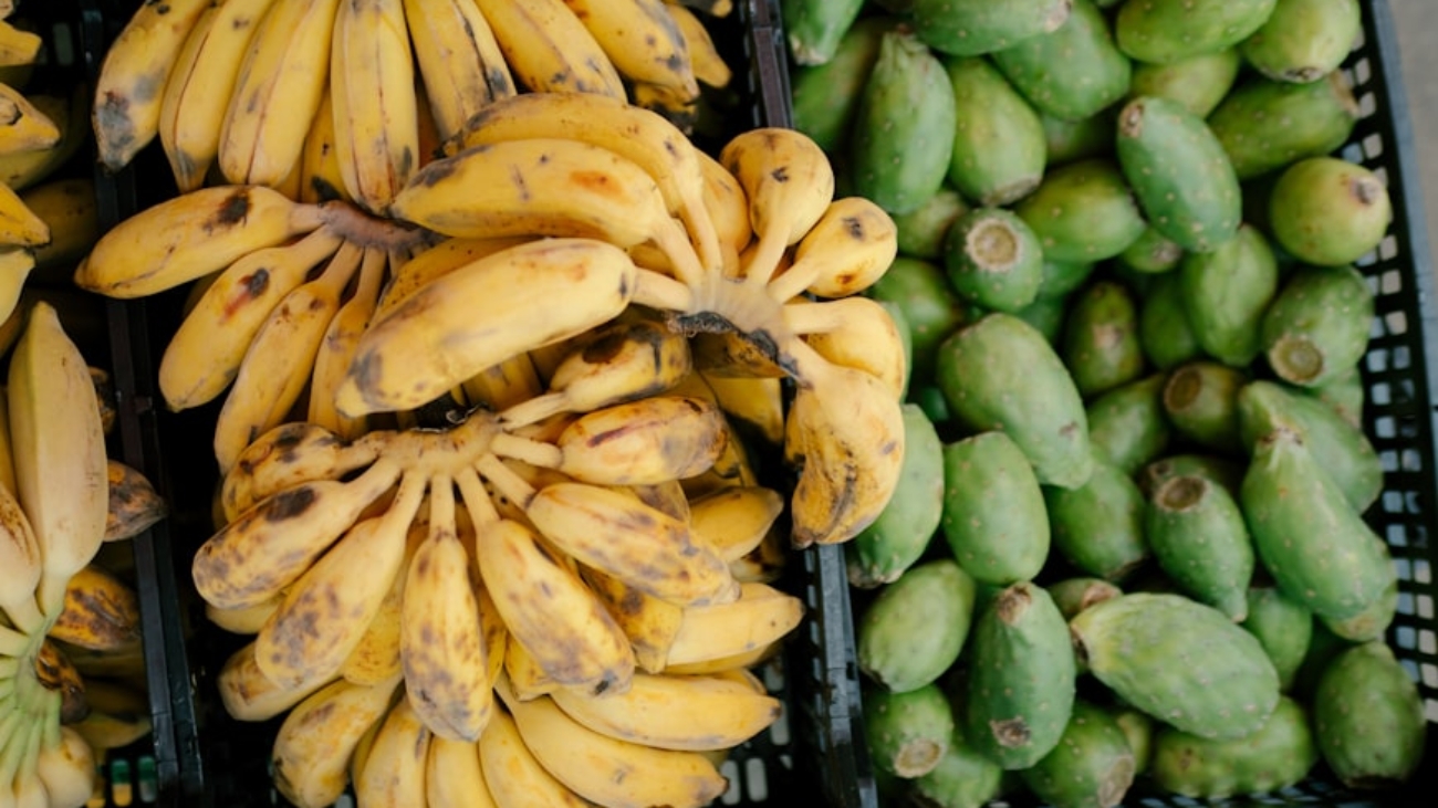 premium_photo-1753126770165-35401ba9d154