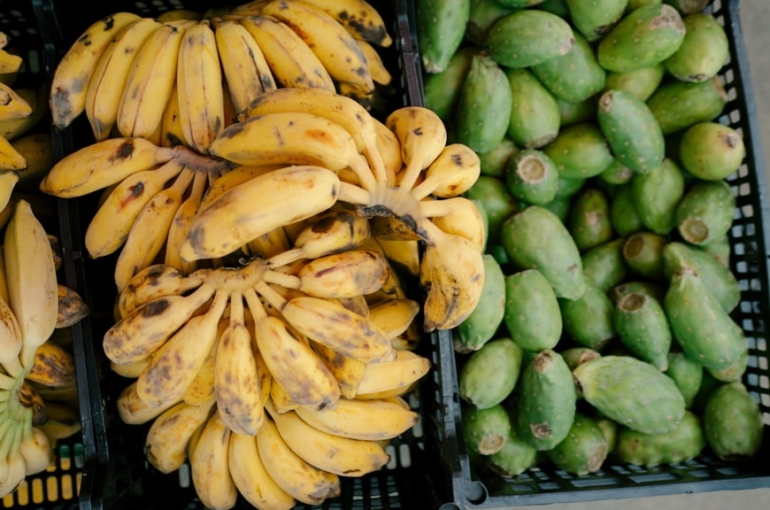 premium_photo-1753126770165-35401ba9d154