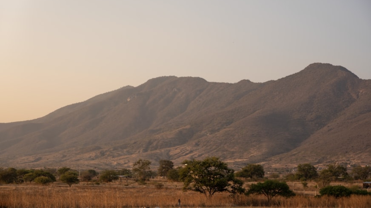 premium_photo-1753983551437-0d2819a635b2