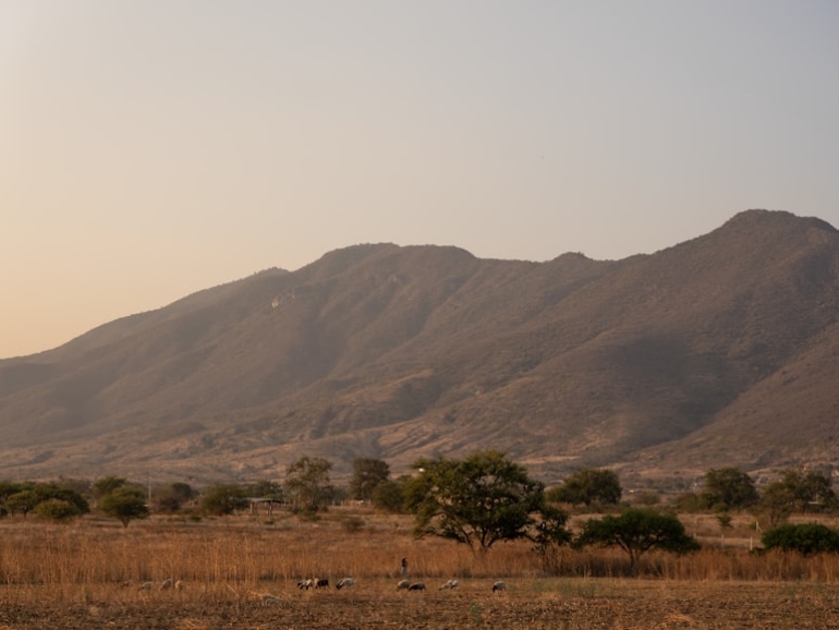 premium_photo-1753983551437-0d2819a635b2