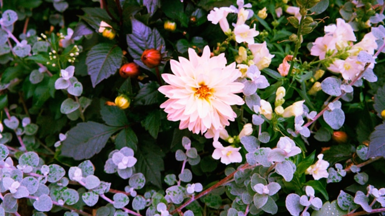 premium_photo-1754665132483-46dfdbf5e748