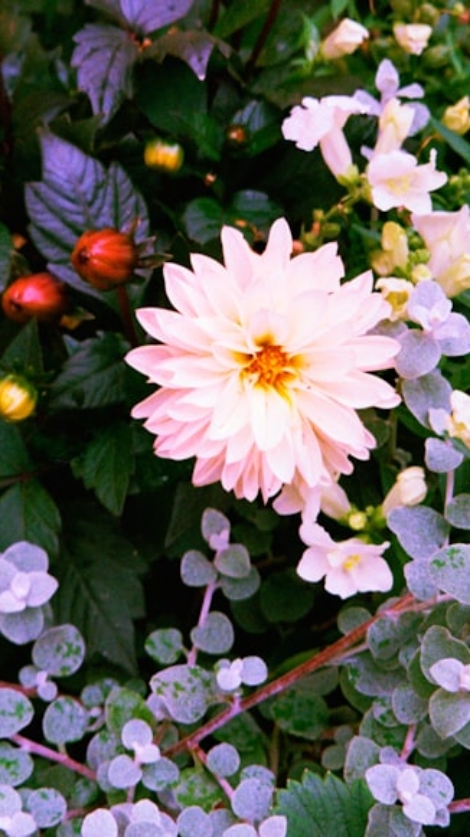 premium_photo-1754665132483-46dfdbf5e748