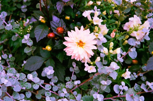 premium_photo-1754665132483-46dfdbf5e748