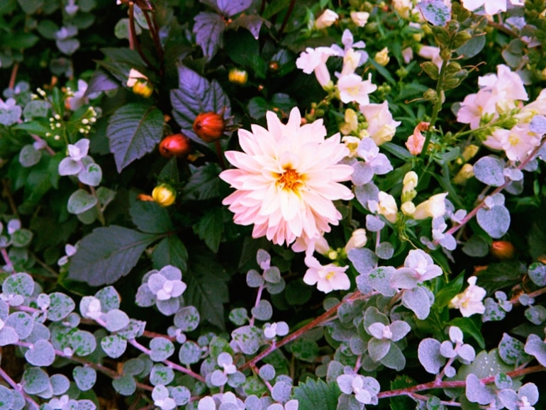 premium_photo-1754665132483-46dfdbf5e748