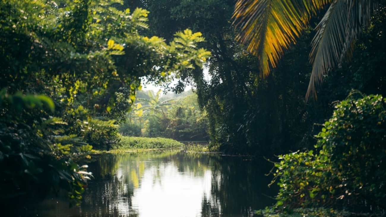 premium_photo-1764187004417-1909e8648a70