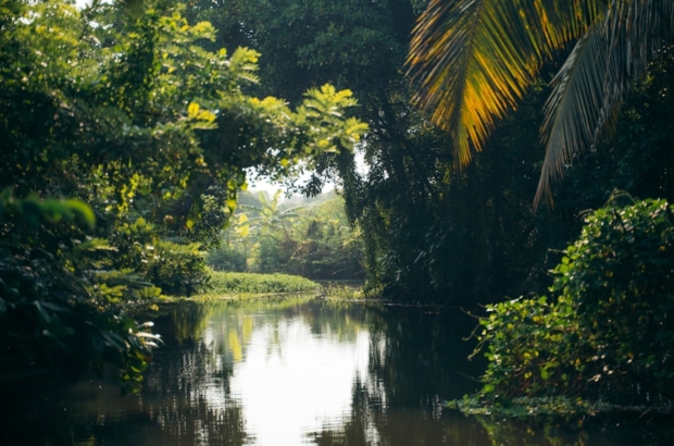 premium_photo-1764187004417-1909e8648a70