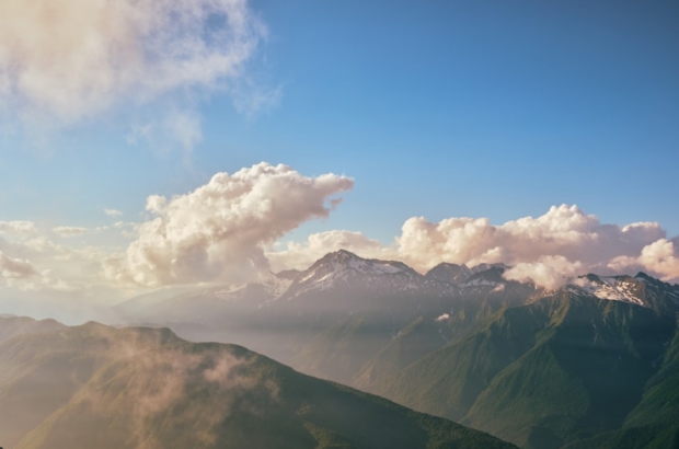 premium_photo-1764408579121-b4706d35b82f