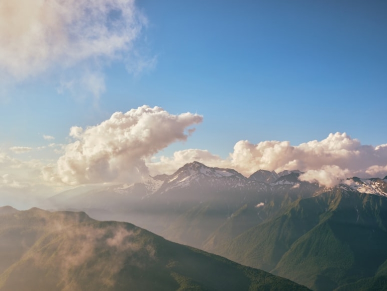 premium_photo-1764408579121-b4706d35b82f