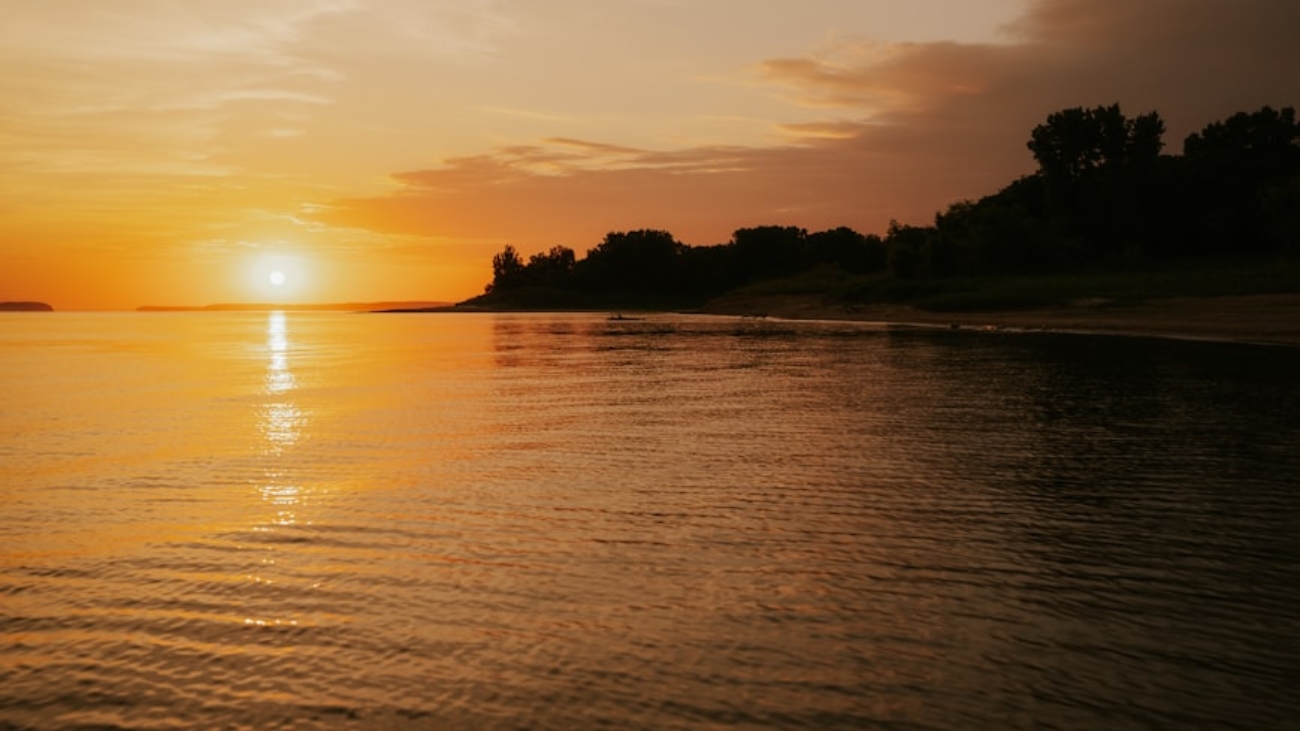 premium_photo-1764446763949-c9622d990527