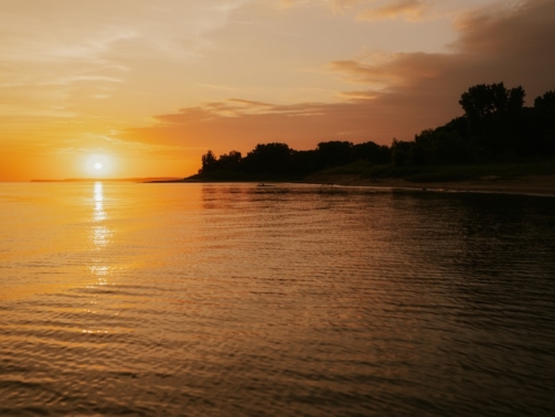 premium_photo-1764446763949-c9622d990527