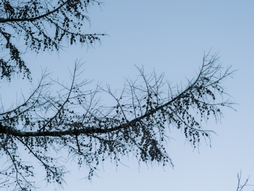 premium_photo-1764528834123-2bcebba5c137