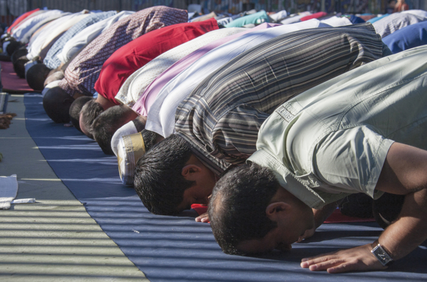 ryan-shutterstock_252420400-268466