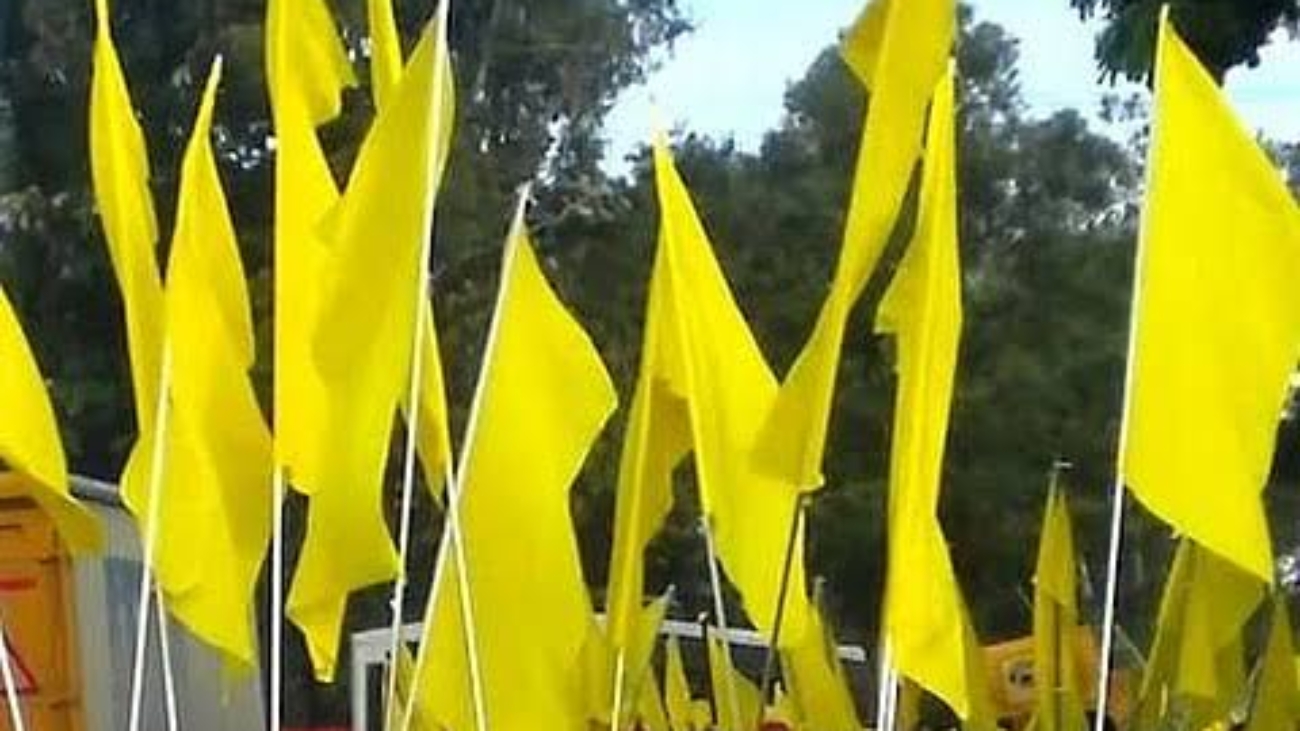 images - 2026-01-01T164749.083