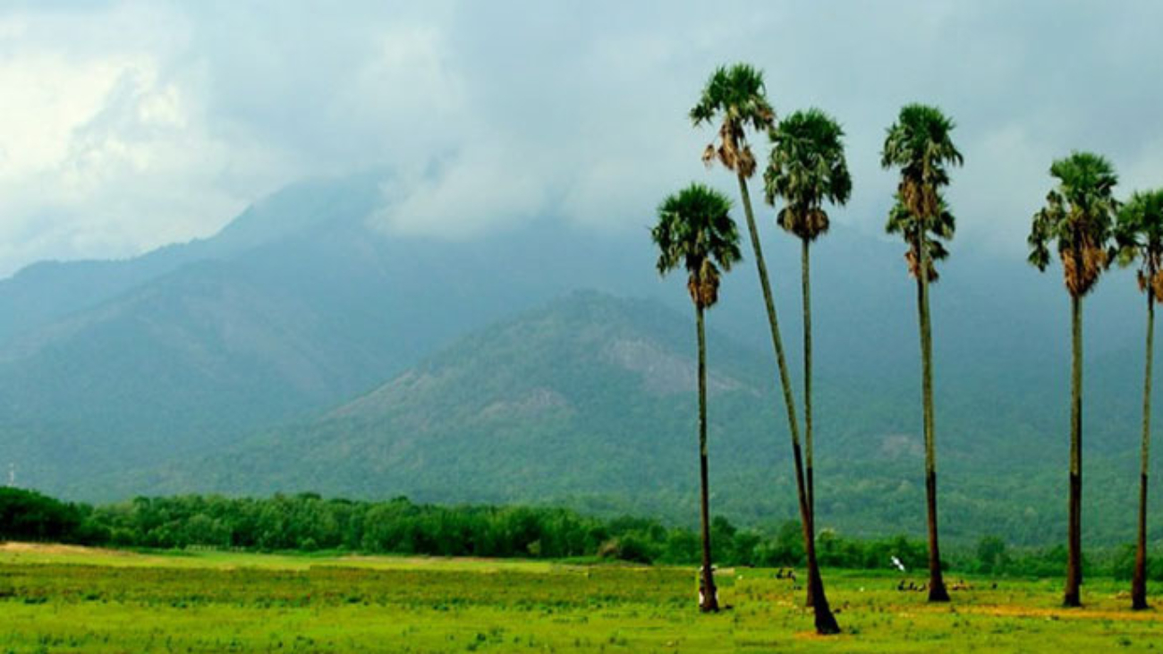 palakkad-and-bandipur