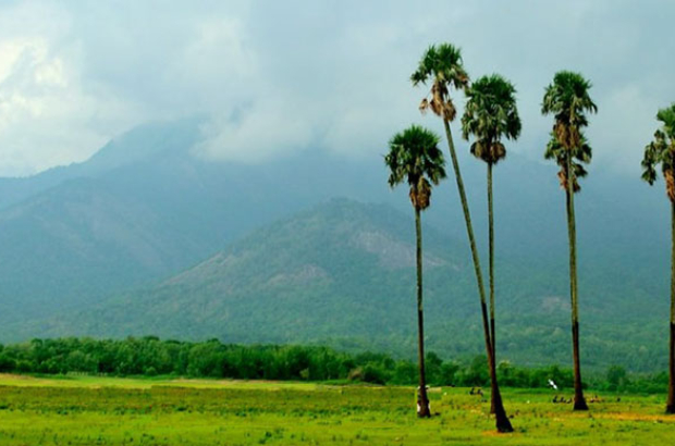 palakkad-and-bandipur