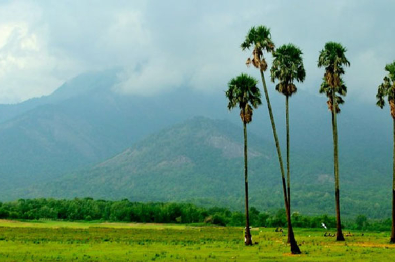 palakkad-and-bandipur